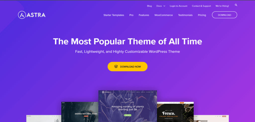 The Best WordPress Themes of 2023